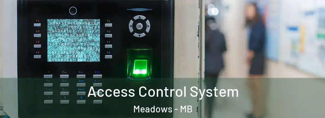  Access Control System Meadows - MB