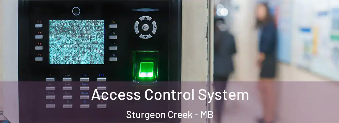  Access Control System Sturgeon Creek - MB