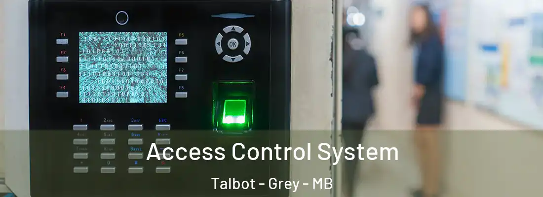  Access Control System Talbot - Grey - MB