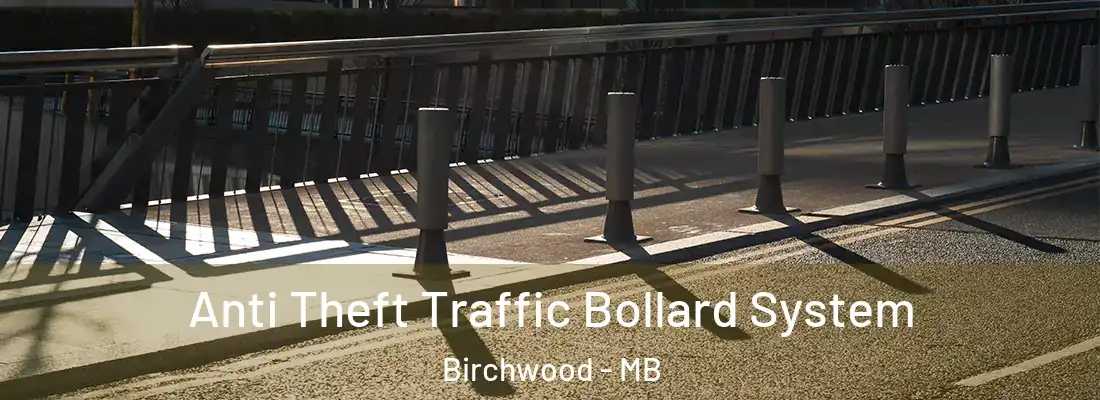  Anti Theft Traffic Bollard System Birchwood - MB