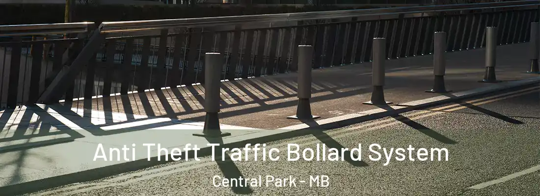  Anti Theft Traffic Bollard System Central Park - MB