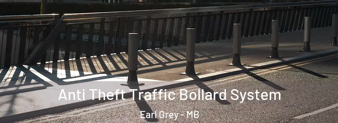  Anti Theft Traffic Bollard System Earl Grey - MB