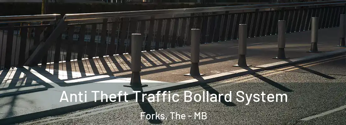  Anti Theft Traffic Bollard System Forks, The - MB