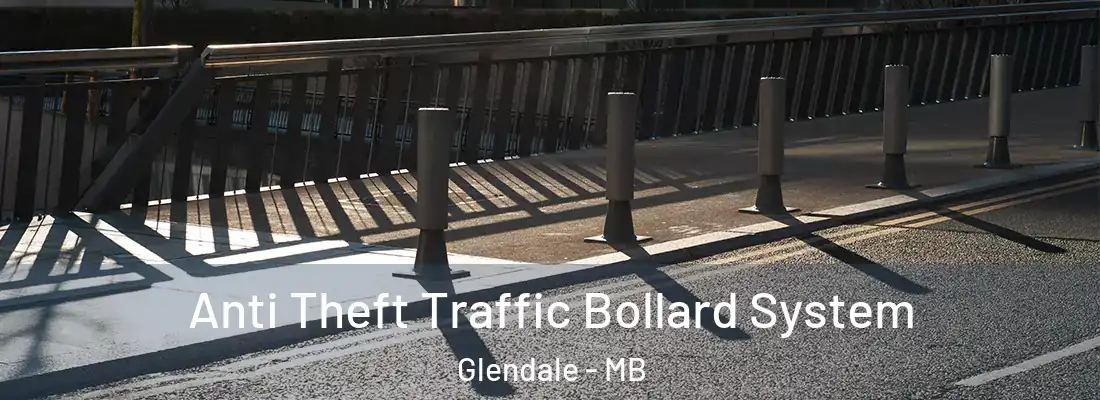  Anti Theft Traffic Bollard System Glendale - MB