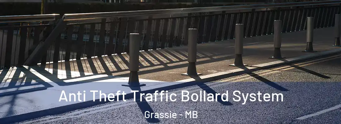  Anti Theft Traffic Bollard System Grassie - MB