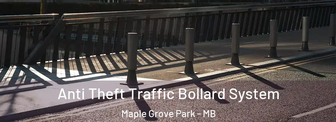  Anti Theft Traffic Bollard System Maple Grove Park - MB