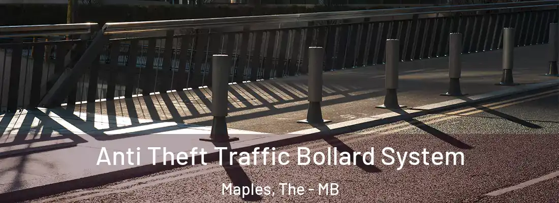  Anti Theft Traffic Bollard System Maples, The - MB