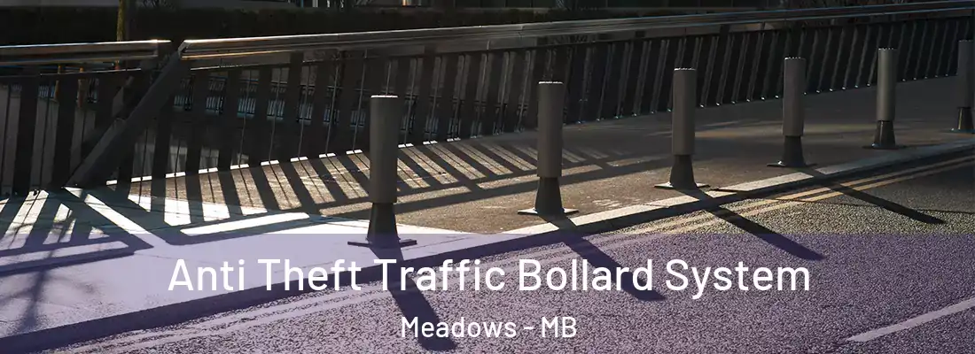  Anti Theft Traffic Bollard System Meadows - MB