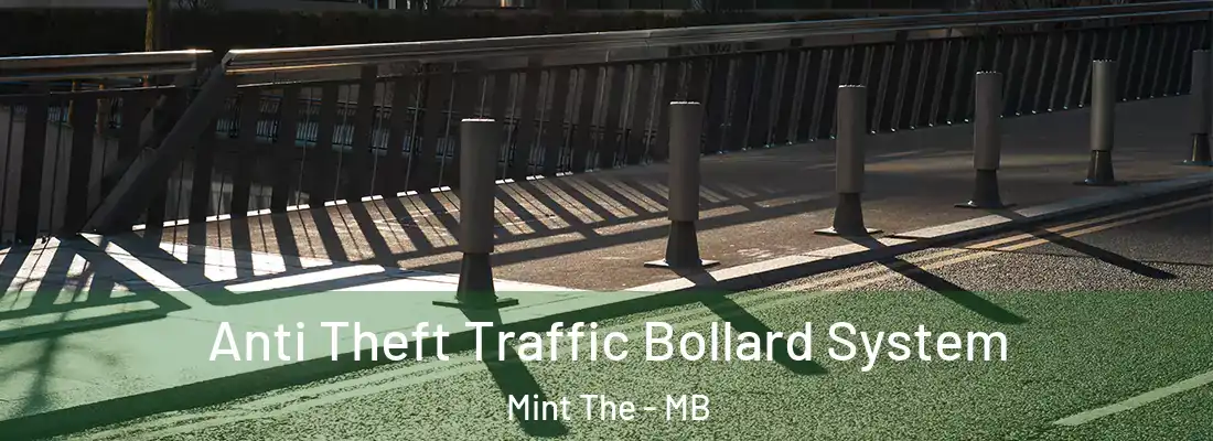  Anti Theft Traffic Bollard System Mint The - MB