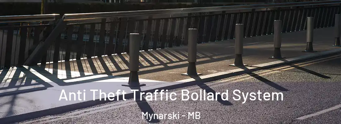  Anti Theft Traffic Bollard System Mynarski - MB