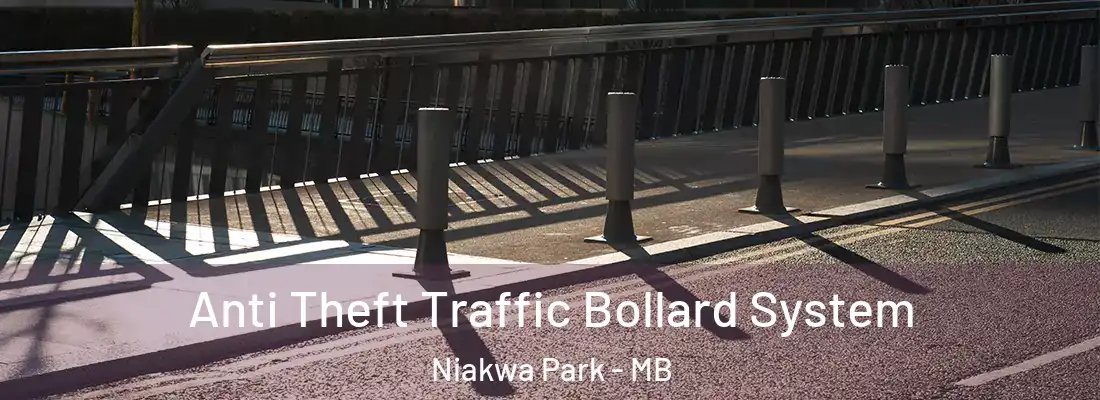  Anti Theft Traffic Bollard System Niakwa Park - MB