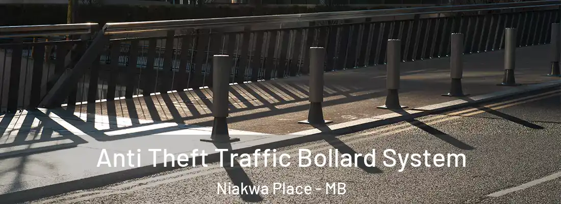  Anti Theft Traffic Bollard System Niakwa Place - MB