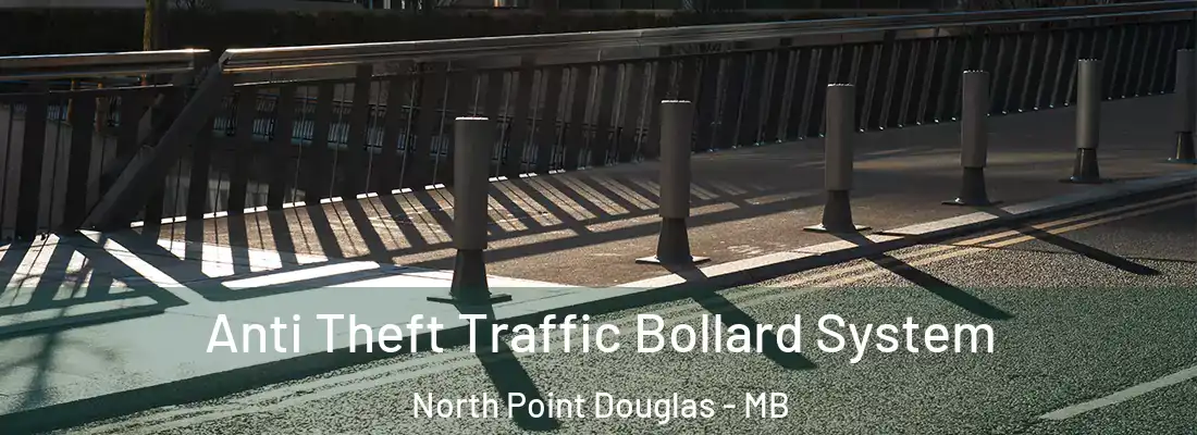  Anti Theft Traffic Bollard System North Point Douglas - MB