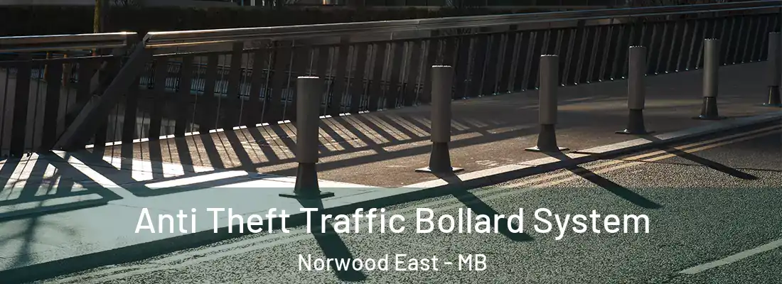  Anti Theft Traffic Bollard System Norwood East - MB