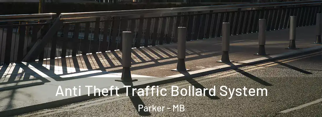  Anti Theft Traffic Bollard System Parker - MB