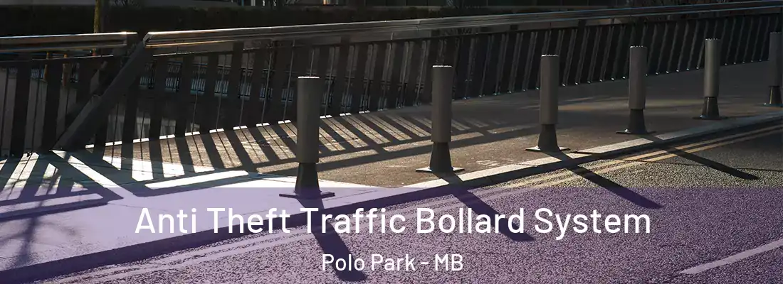 Anti Theft Traffic Bollard System Polo Park - MB