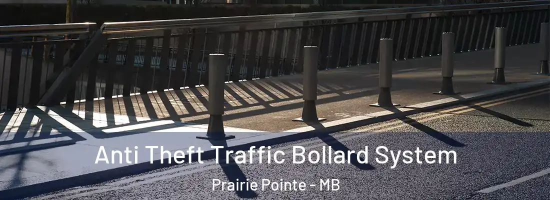  Anti Theft Traffic Bollard System Prairie Pointe - MB