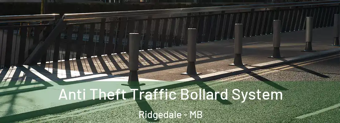  Anti Theft Traffic Bollard System Ridgedale - MB