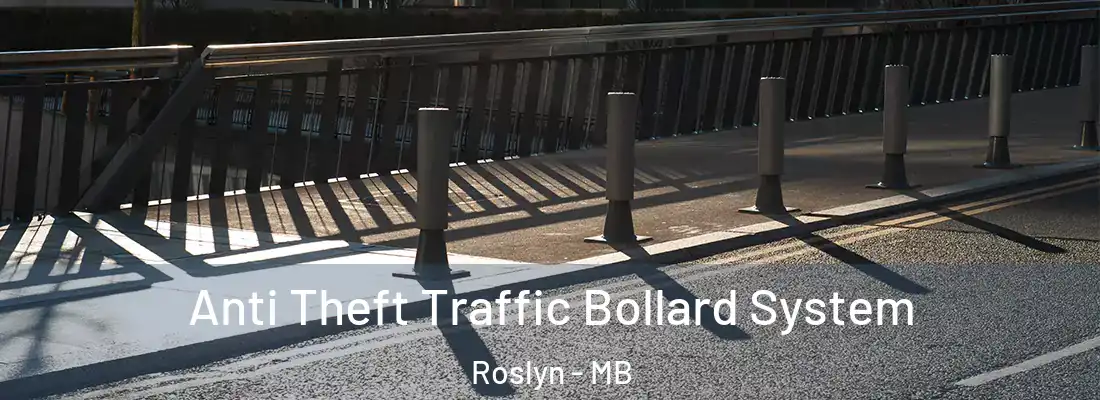  Anti Theft Traffic Bollard System Roslyn - MB