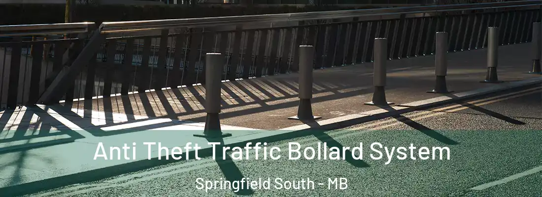  Anti Theft Traffic Bollard System Springfield South - MB