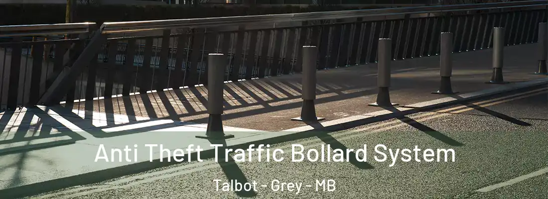 Anti Theft Traffic Bollard System Talbot - Grey - MB