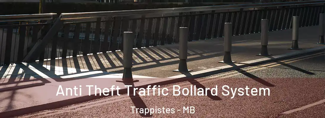  Anti Theft Traffic Bollard System Trappistes - MB