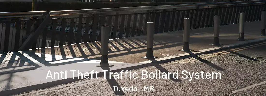  Anti Theft Traffic Bollard System Tuxedo - MB
