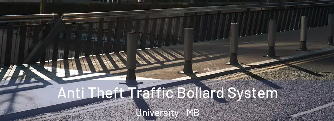  Anti Theft Traffic Bollard System University - MB