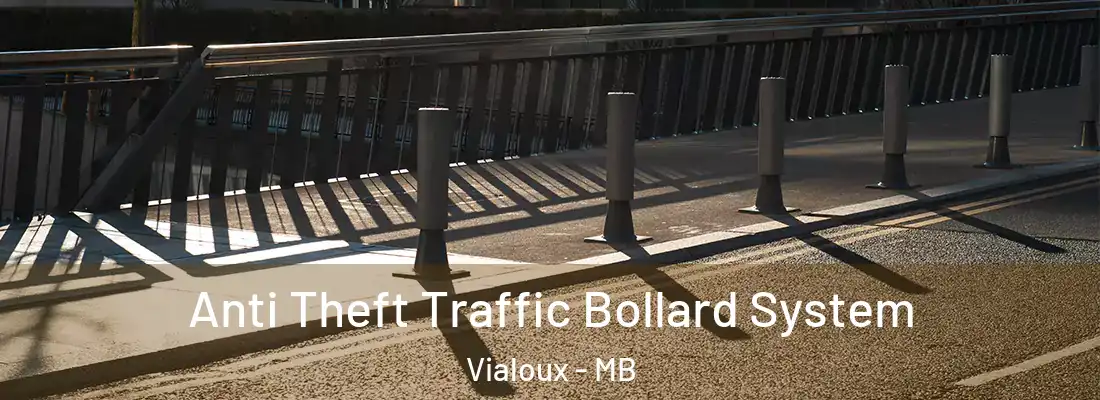  Anti Theft Traffic Bollard System Vialoux - MB