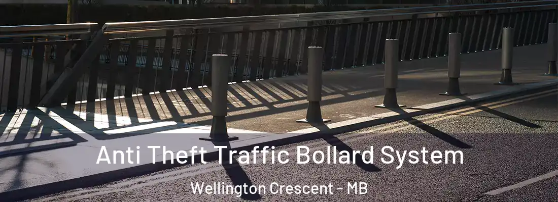  Anti Theft Traffic Bollard System Wellington Crescent - MB