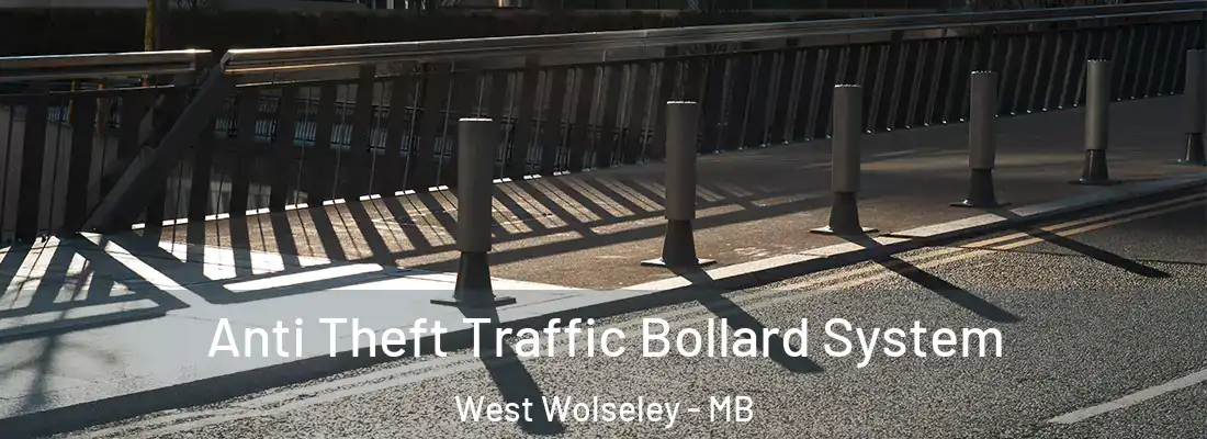  Anti Theft Traffic Bollard System West Wolseley - MB