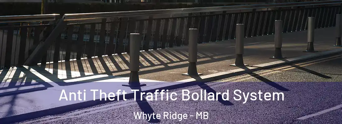  Anti Theft Traffic Bollard System Whyte Ridge - MB