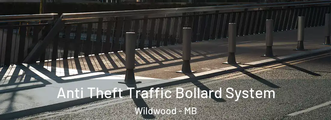  Anti Theft Traffic Bollard System Wildwood - MB