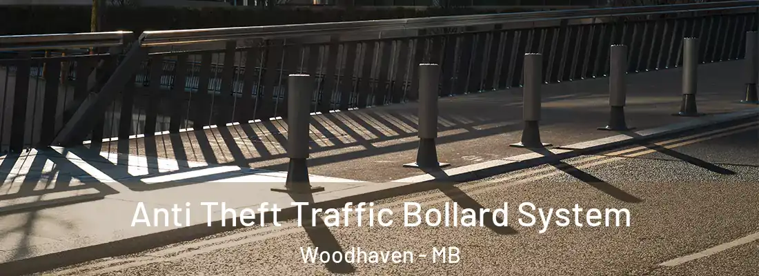  Anti Theft Traffic Bollard System Woodhaven - MB