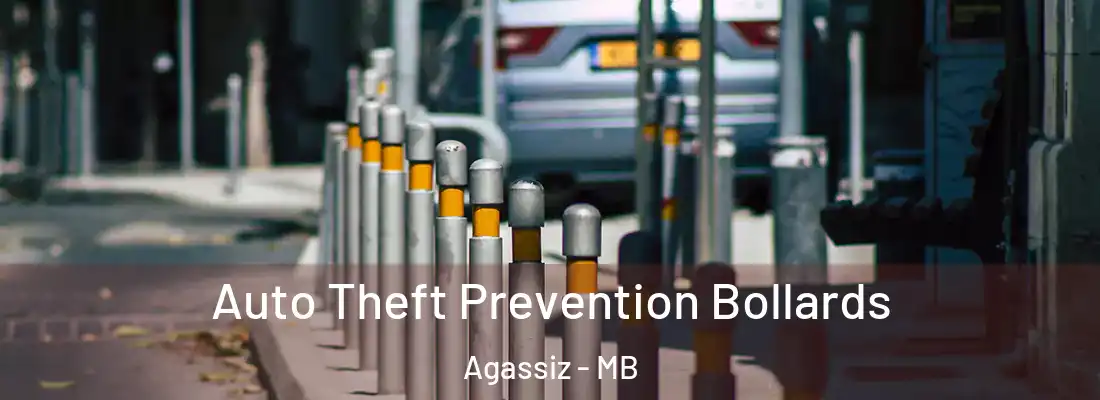  Auto Theft Prevention Bollards Agassiz - MB