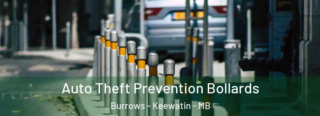  Auto Theft Prevention Bollards Burrows - Keewatin - MB