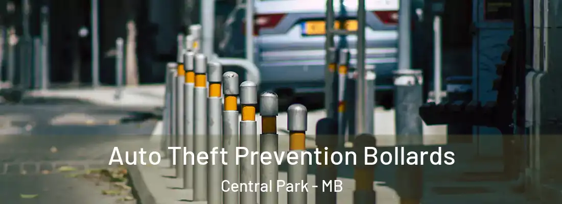  Auto Theft Prevention Bollards Central Park - MB