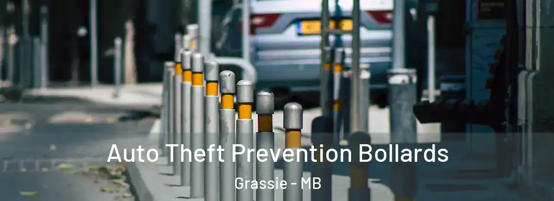  Auto Theft Prevention Bollards Grassie - MB