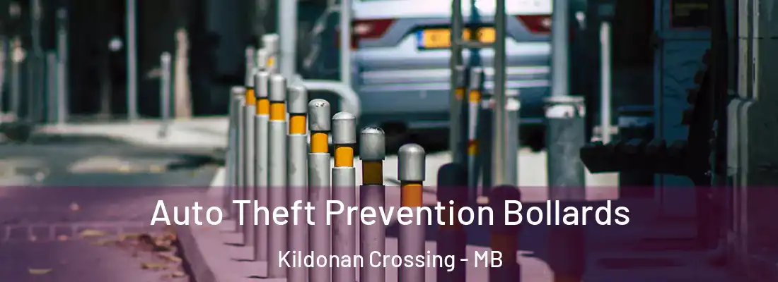  Auto Theft Prevention Bollards Kildonan Crossing - MB