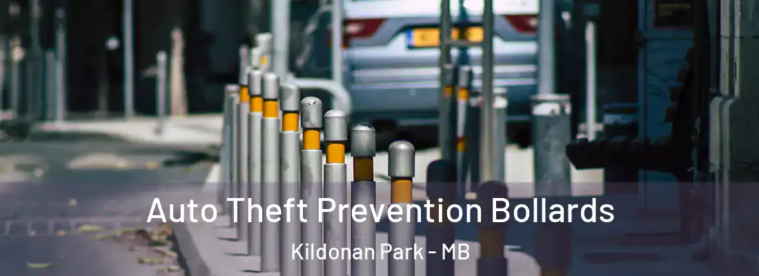  Auto Theft Prevention Bollards Kildonan Park - MB