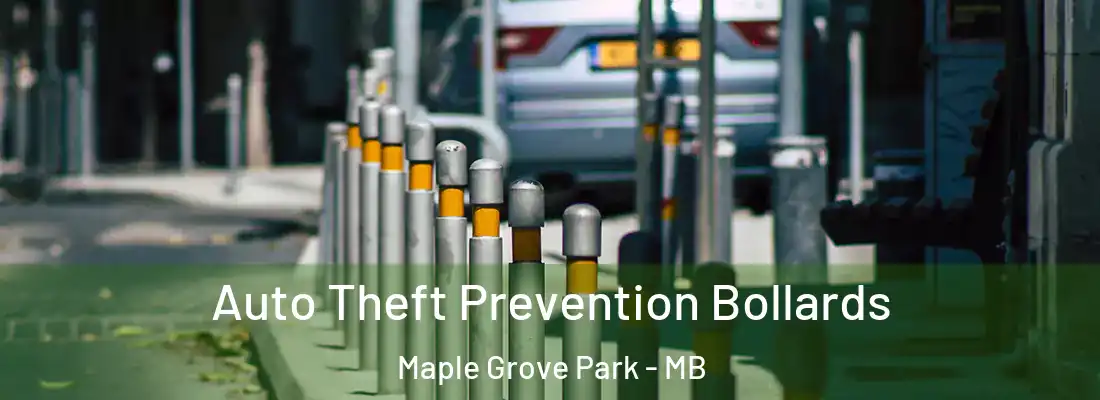  Auto Theft Prevention Bollards Maple Grove Park - MB