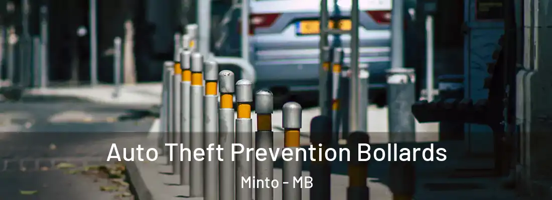  Auto Theft Prevention Bollards Minto - MB