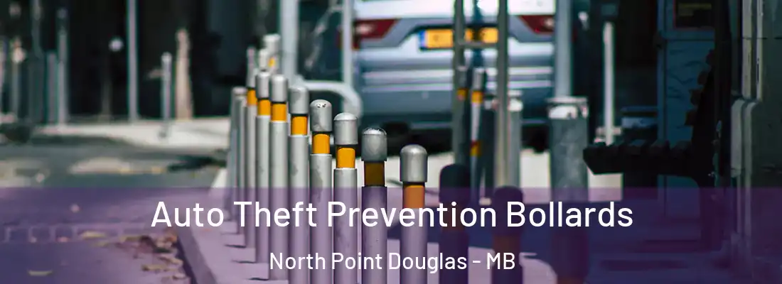  Auto Theft Prevention Bollards North Point Douglas - MB