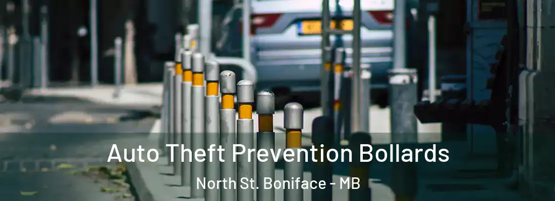  Auto Theft Prevention Bollards North St. Boniface - MB