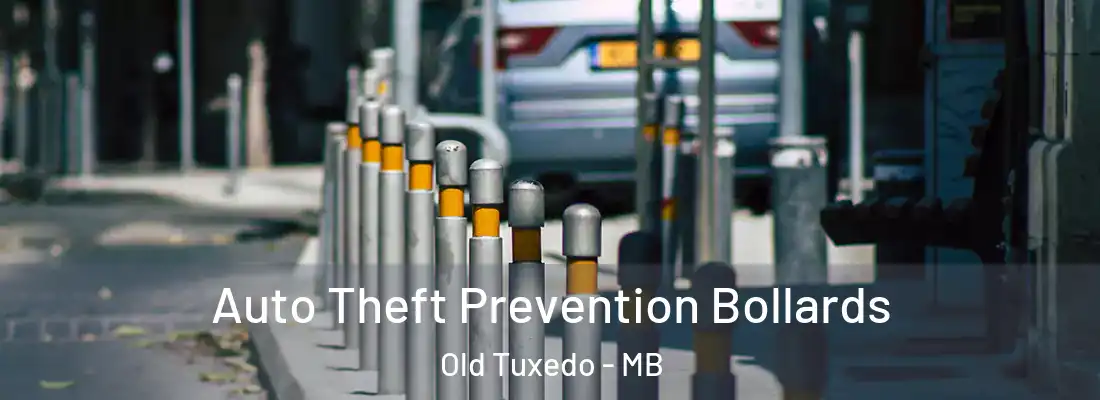  Auto Theft Prevention Bollards Old Tuxedo - MB