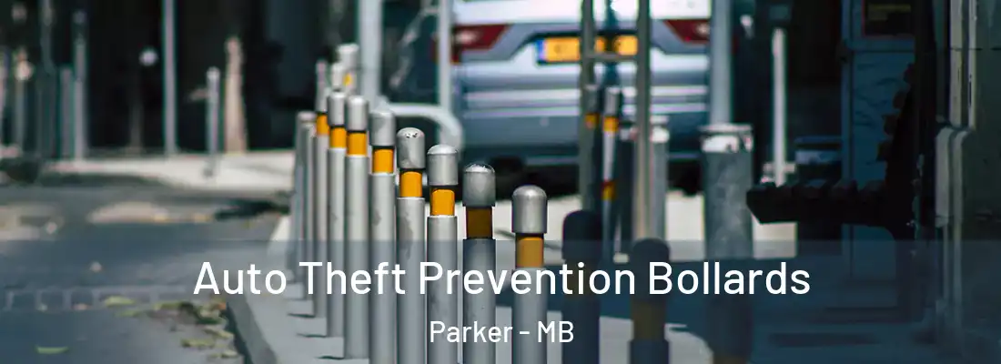  Auto Theft Prevention Bollards Parker - MB