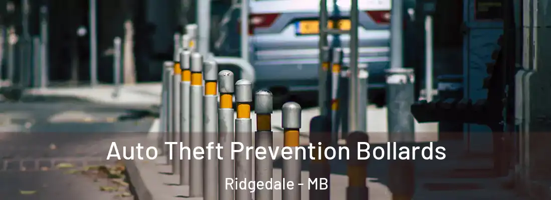  Auto Theft Prevention Bollards Ridgedale - MB