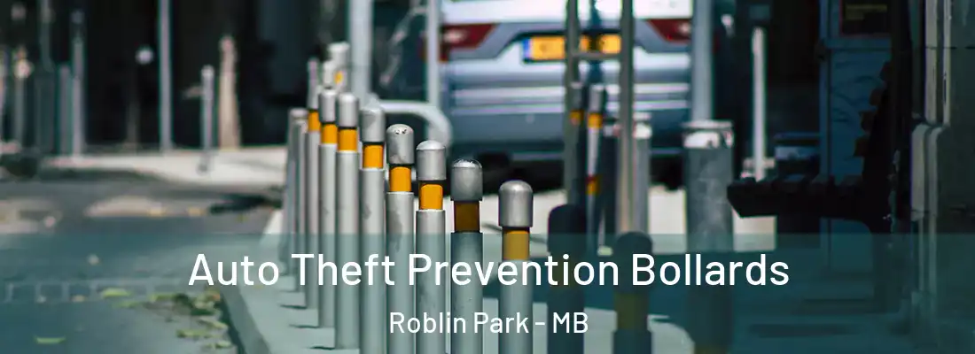  Auto Theft Prevention Bollards Roblin Park - MB