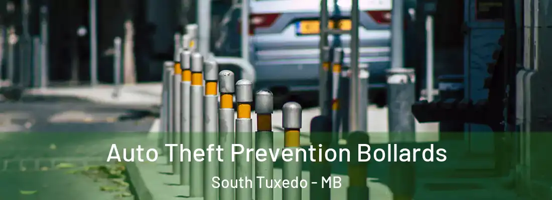  Auto Theft Prevention Bollards South Tuxedo - MB