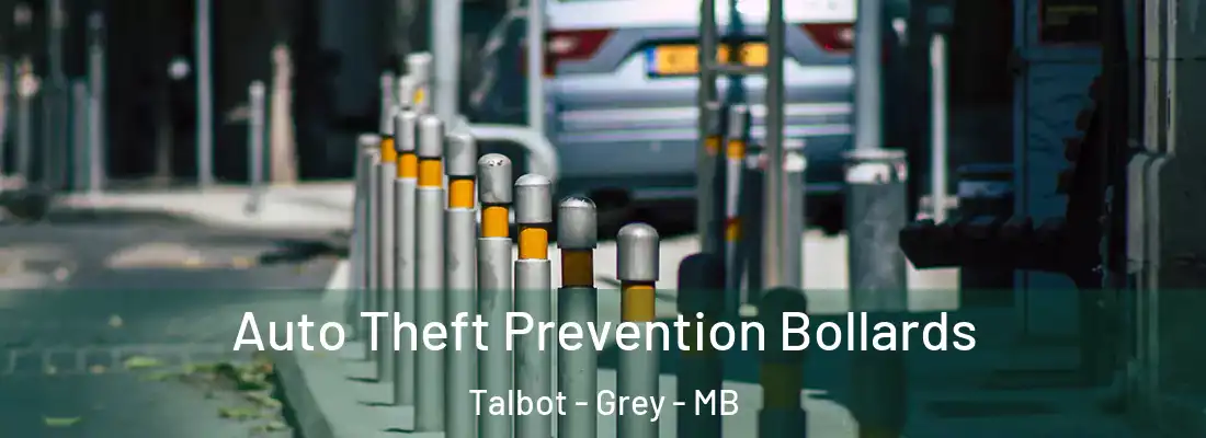  Auto Theft Prevention Bollards Talbot - Grey - MB